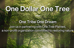 ���ǣ���ע���α��������е�̼����